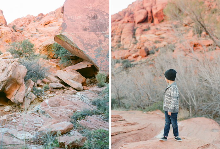 red rock state park desert life film 5