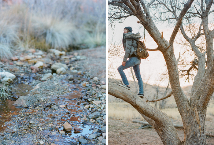 red rock state park desert life film 14