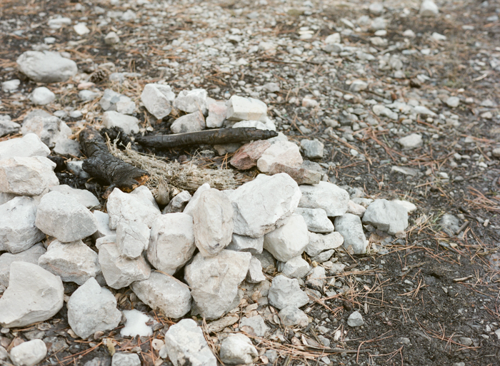 woodsy mount charleston engagement session 011