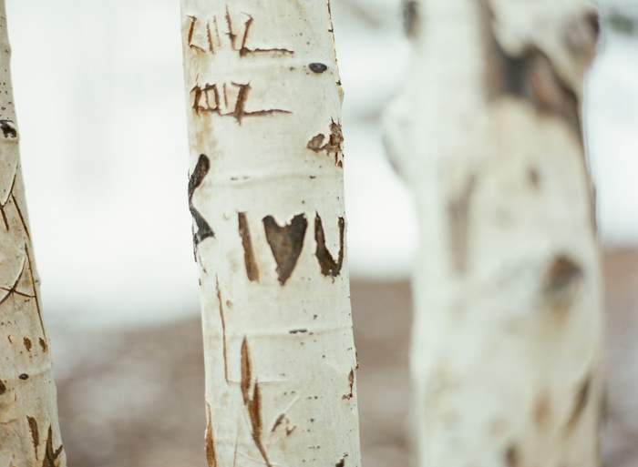 woodsy mount charleston engagement session 021