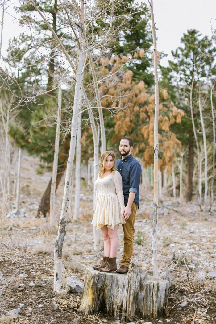 woodsy mount charleston engagement session 022