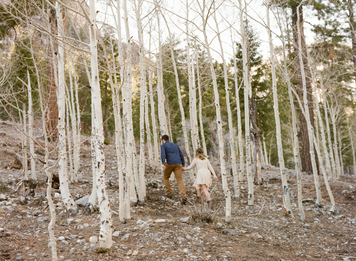 woodsy mount charleston engagement session 033