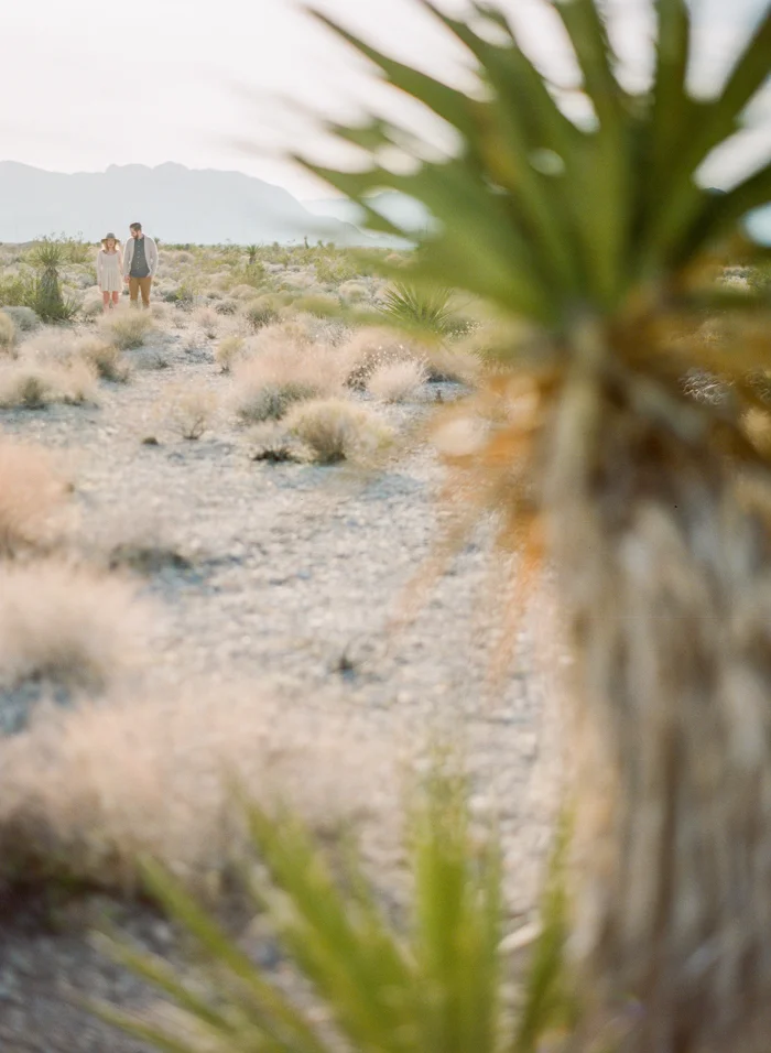 las vegas desert engagement mojave yucca plant