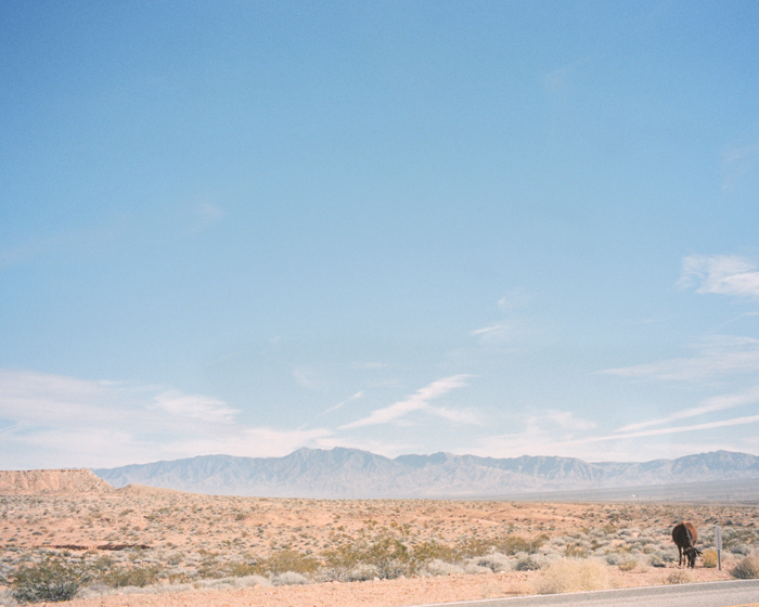 bunkerville nevada desert on film