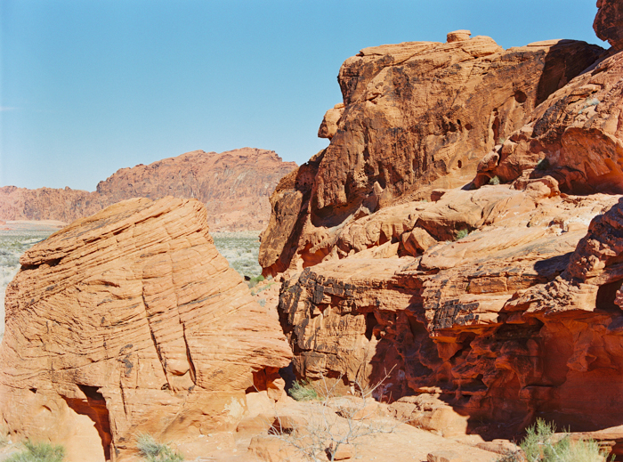 live authentic explore valley of fire 14