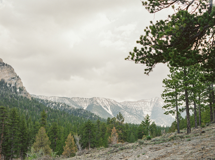 snow on lee canyon mountains