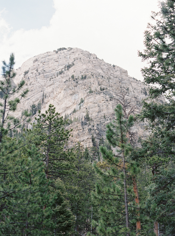 lee canyon mountains and forest