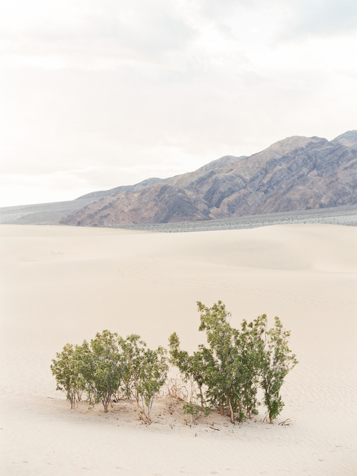 death valley mesquite flat sand dunes 