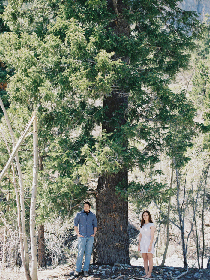 las vegas engagement photographer mt charleston 2