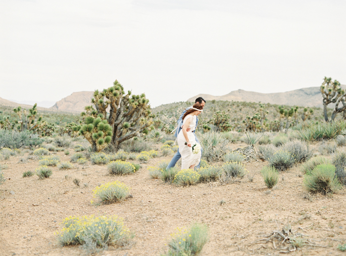 joshua tree meadow las vegas wedding photo