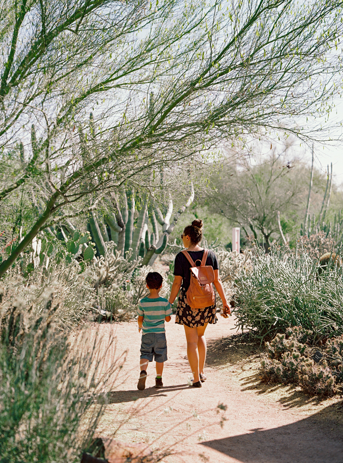 desert botanical garden phoenix arizona 19