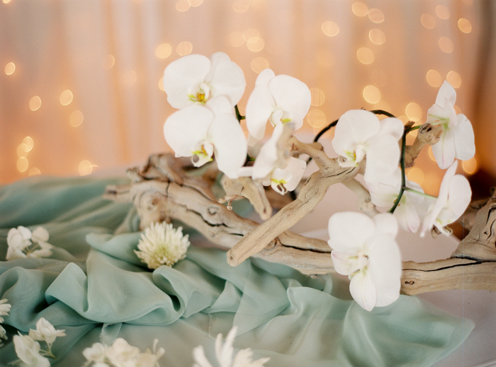 white orchids wedding centerpieces