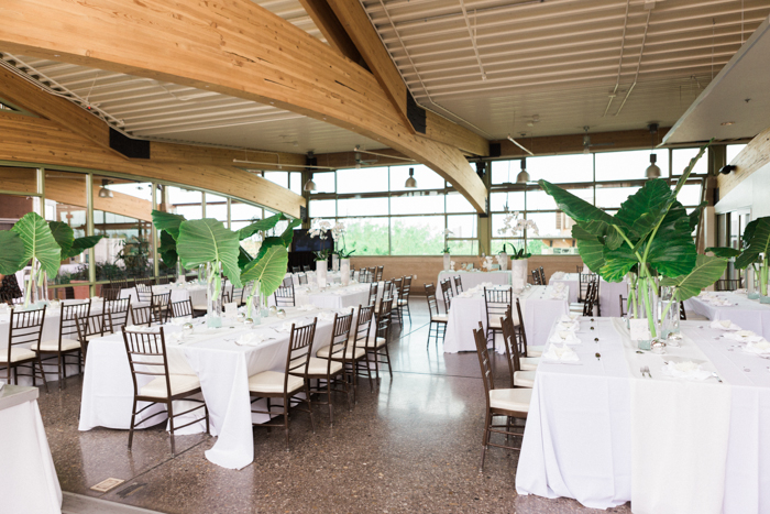 elephant ear plant leaves wedding decorations