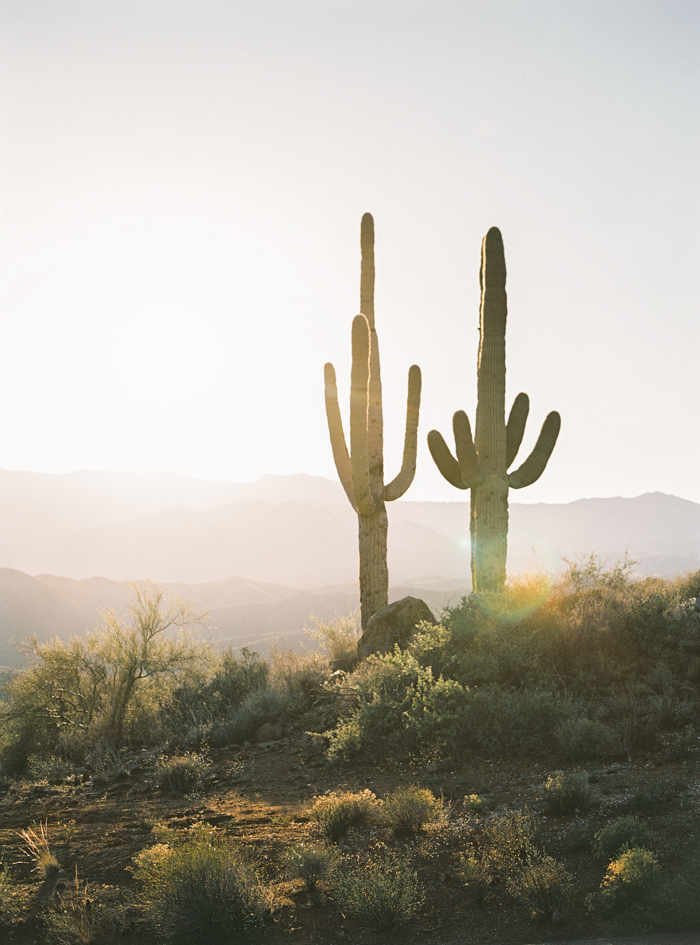 exploring arizona saguaro desert 1