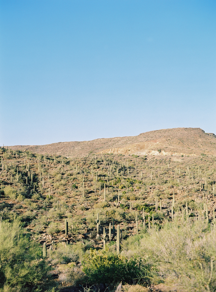 exploring arizona saguaro desert 28