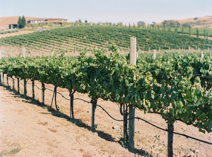 napa winery on film 5