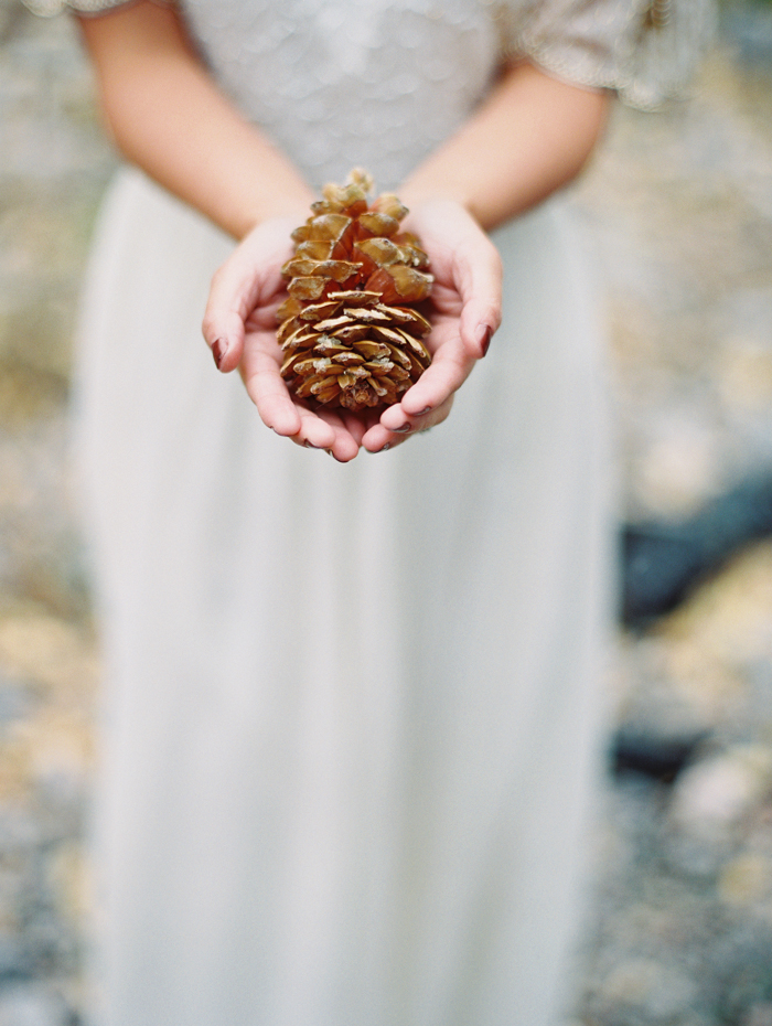 romantic vegas forest engagement photo pinecone