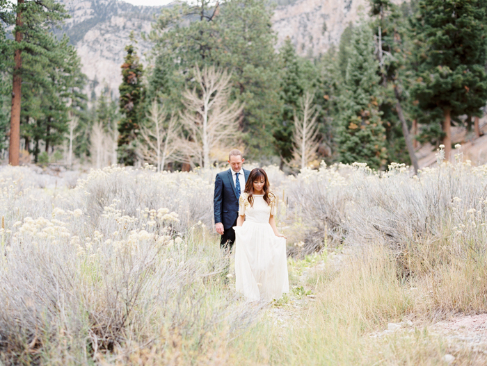 romantic vegas meadow engagement photo