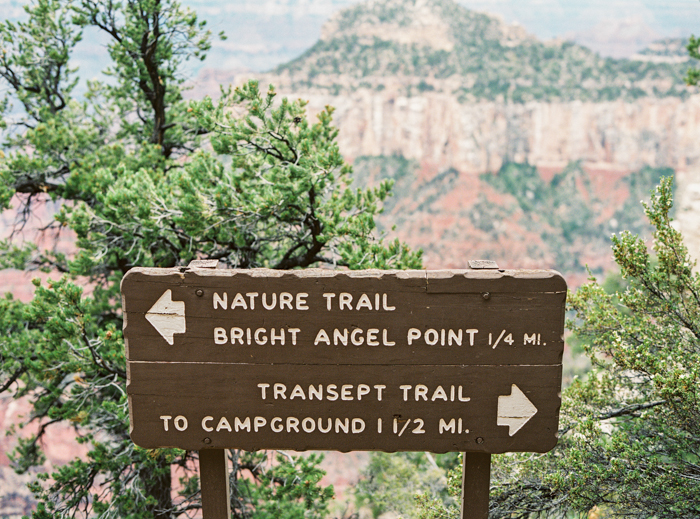 grand canyon north rim on film 6