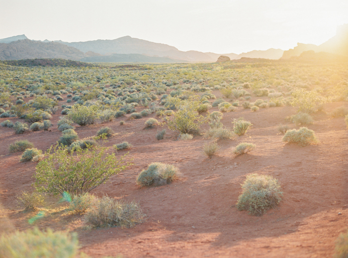 valley of fire boho desert wedding 40