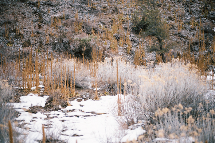 mary jane falls trail family session photo 21