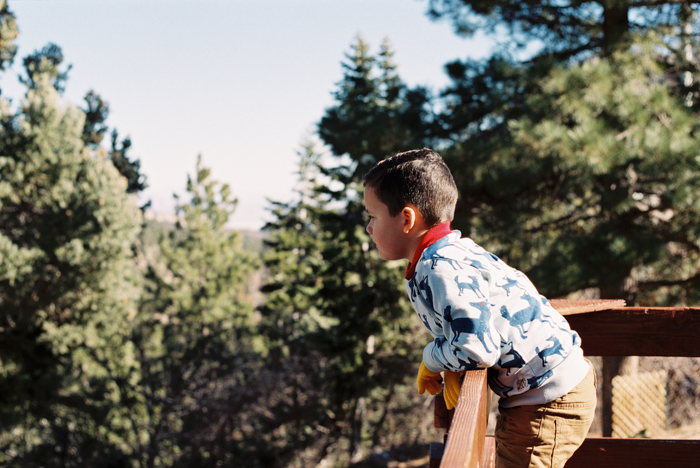 mary jane falls trail family session photo 28