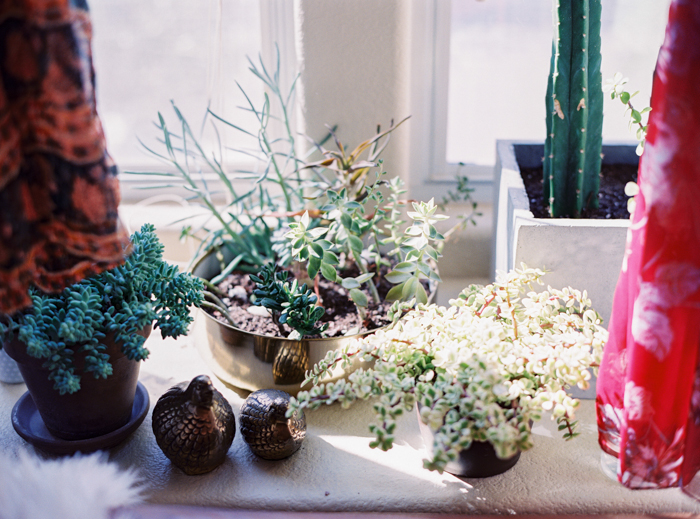 las vegas wedding with boho details photo