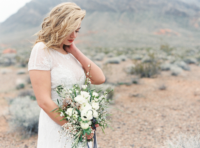 desert and indigo inspired valley of fire wedding photo