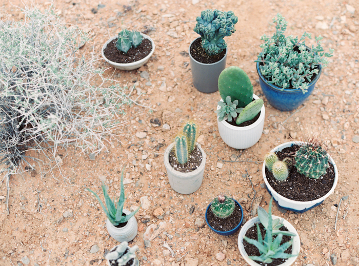 desert indigo inspired wedding details with cactus 