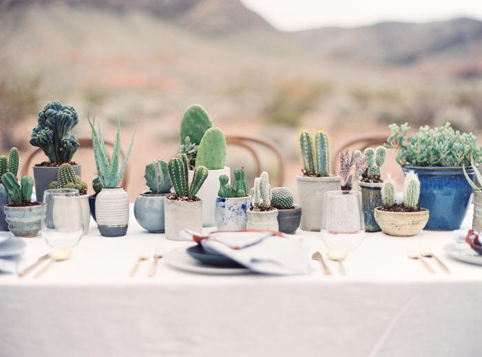 desert indigo inspired wedding tablescape with cactus 