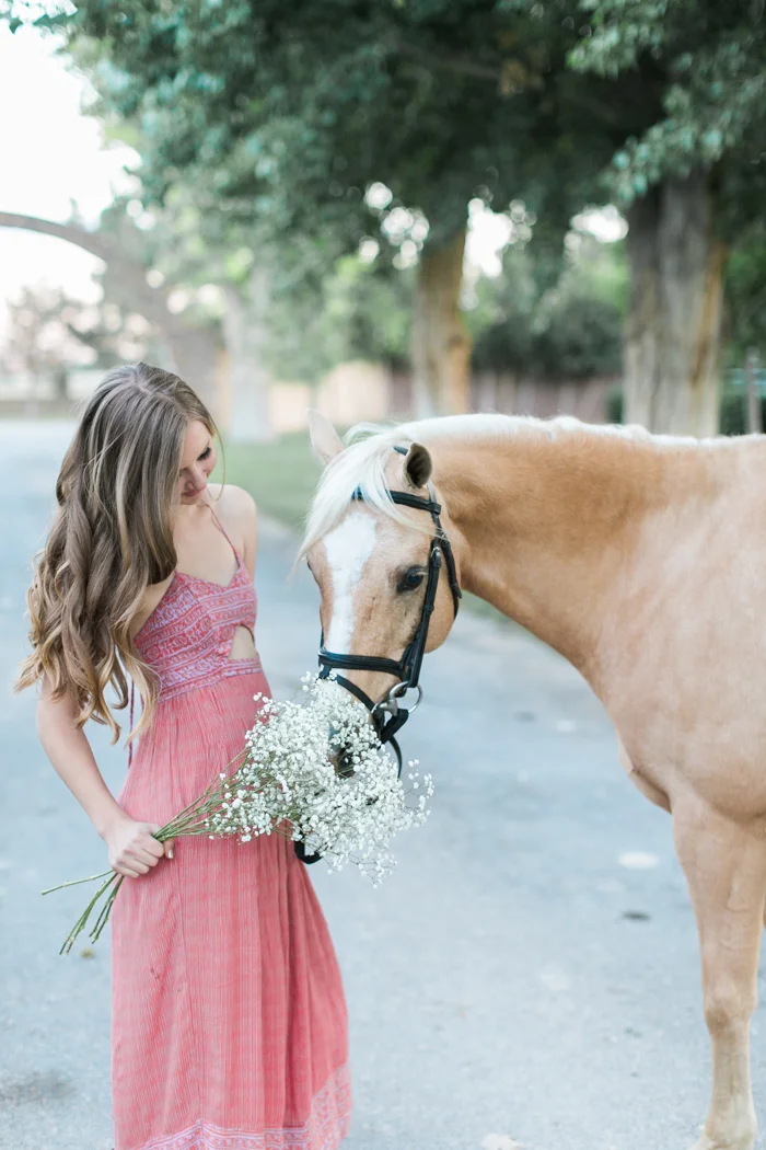las vegas ranch with horses senior photography