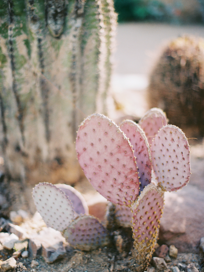 anthropologie floral inspired las vegas wedding 13.jpg