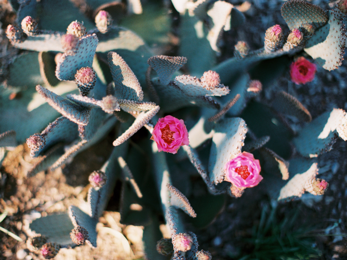 anthropologie floral inspired las vegas wedding 17.jpg