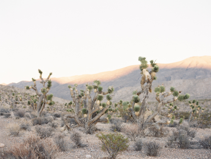 adventure desert elopement photographer