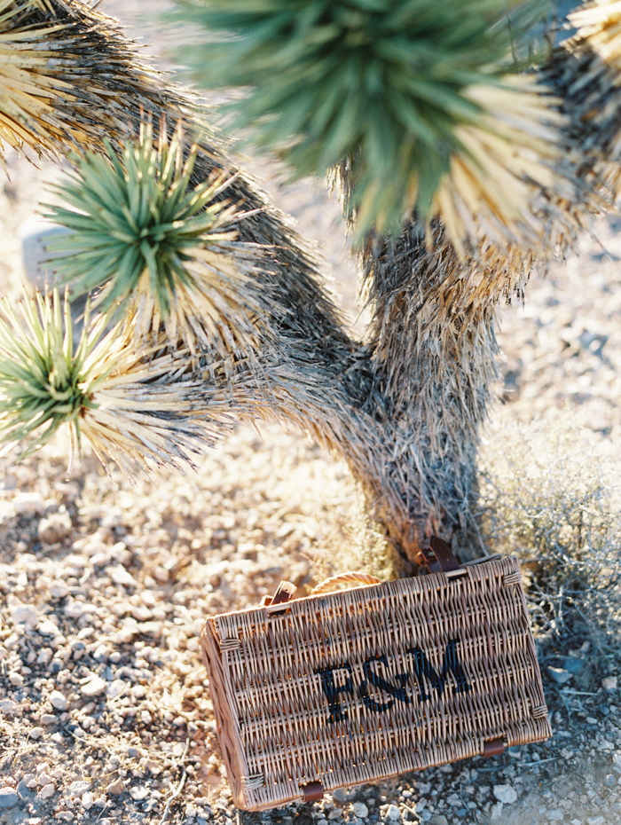 adventure desert elopement photographer