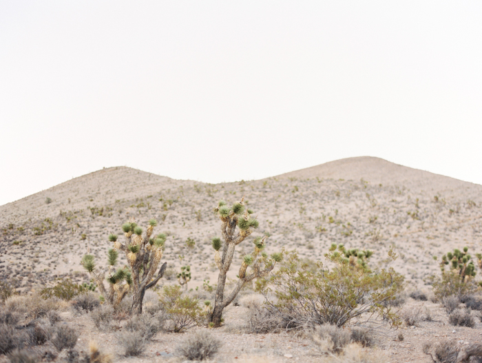 adventure desert elopement photographer