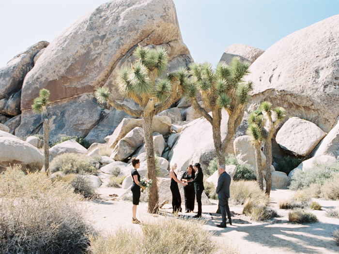 chic joshua tree elopement photo | gaby j photography