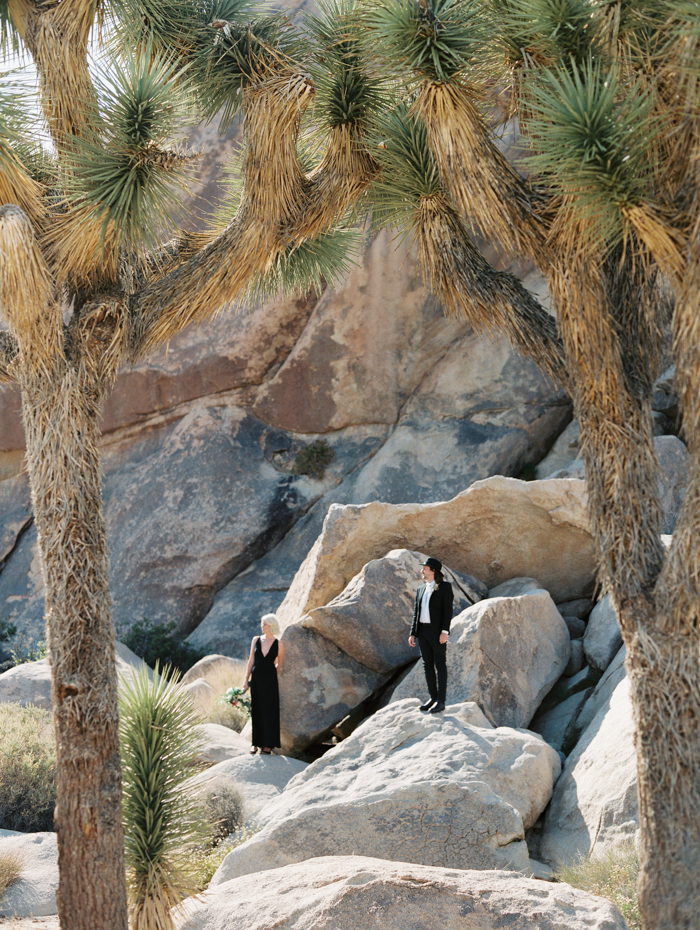 chic joshua tree elopement photo | gaby j photography