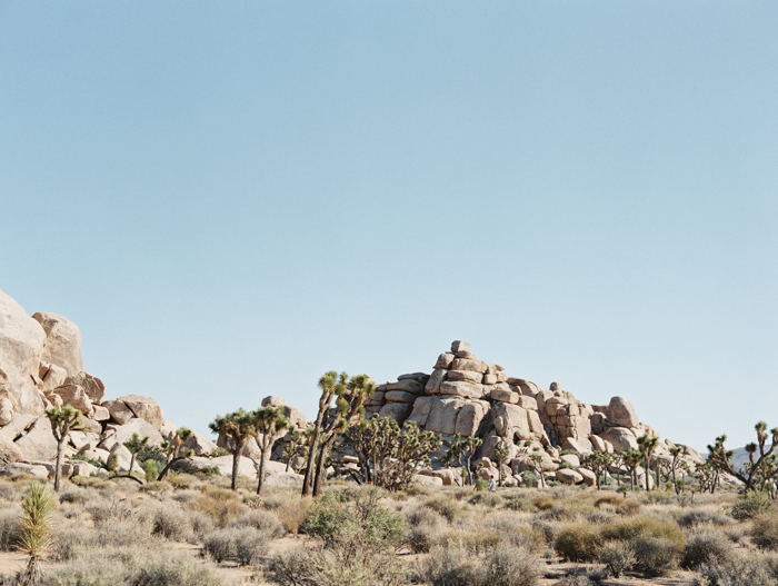 chic joshua tree elopement photo | gaby j photography