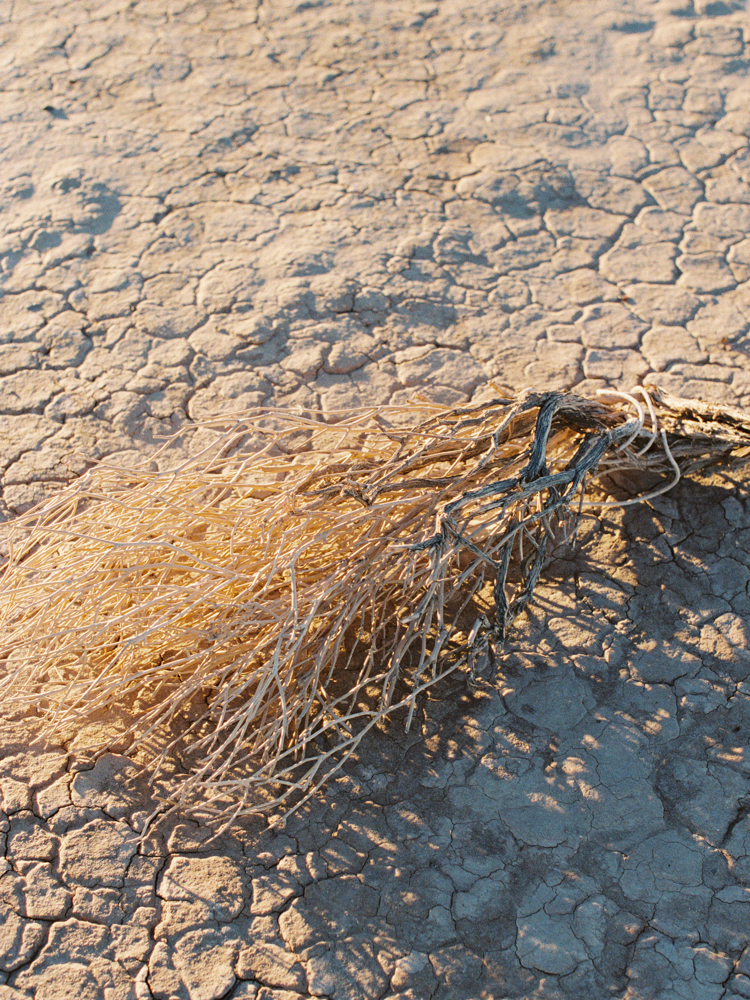 desert texture | gaby j photography