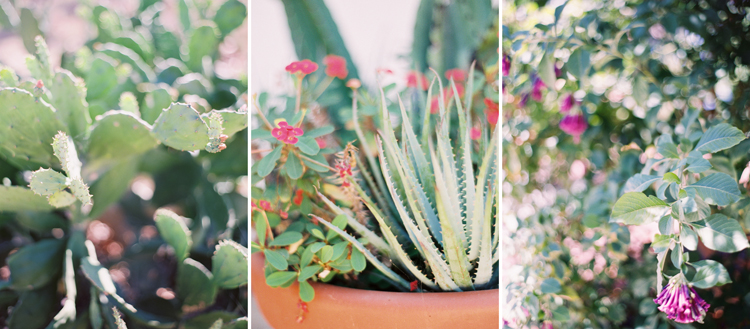 rancho guajome adobe wedding | san diego fine art wedding photographer | gaby j photography