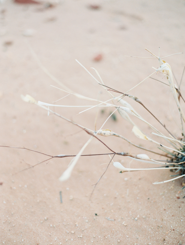 las vegas engagement photographer | valley of fire engagement photography | desert engagement locations | gaby j photography