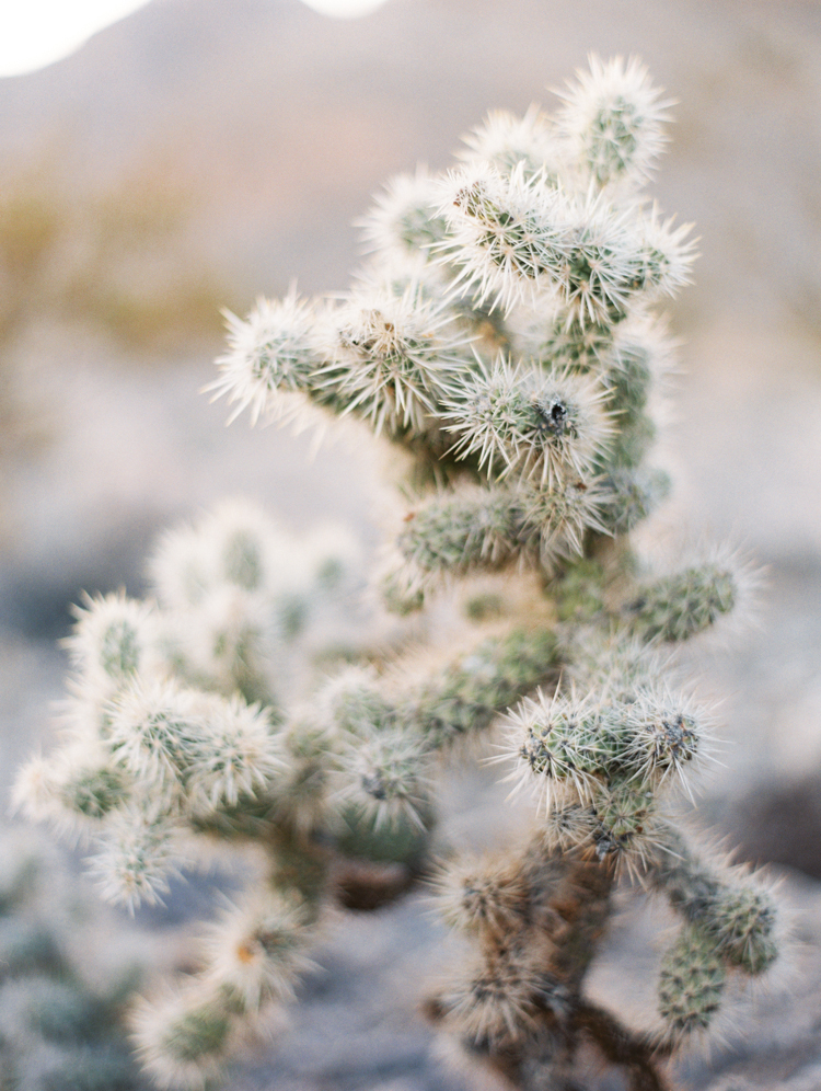 las vegas anniversary | desert anniversary | fine art photographer | pantone rose quartz and serenity | gaby j photography