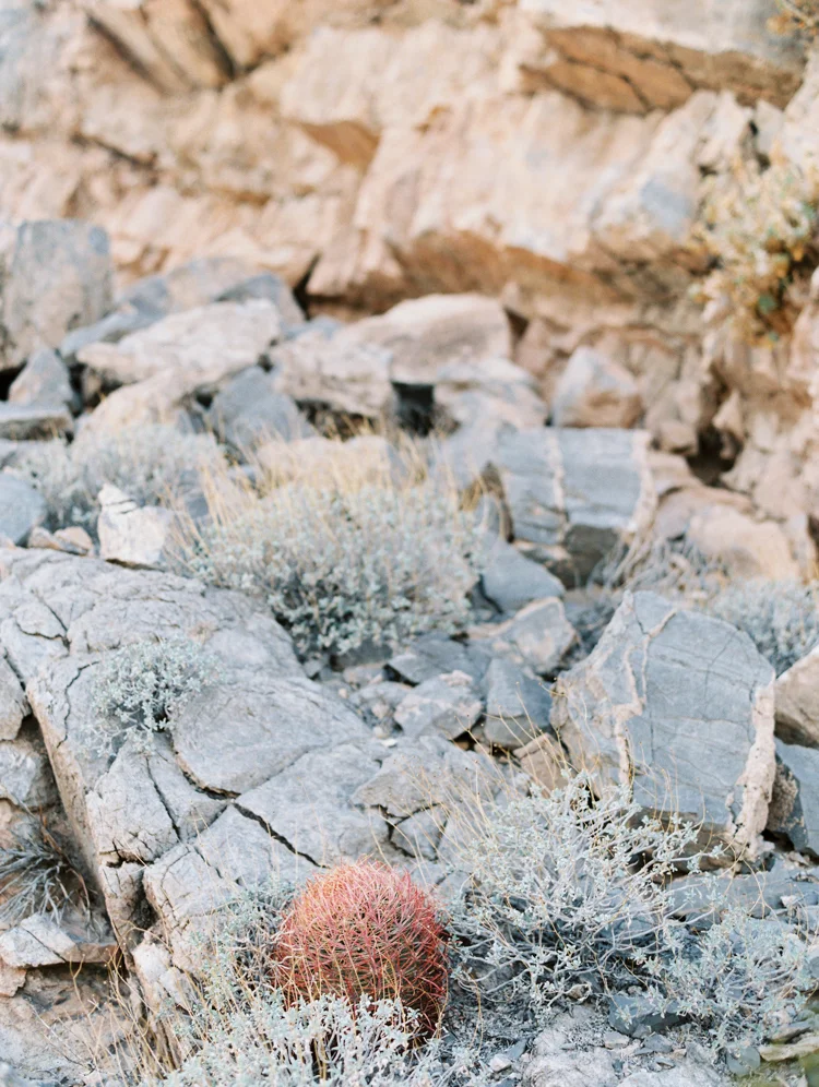 las vegas anniversary | desert anniversary | fine art photographer | pantone rose quartz and serenity | gaby j photography