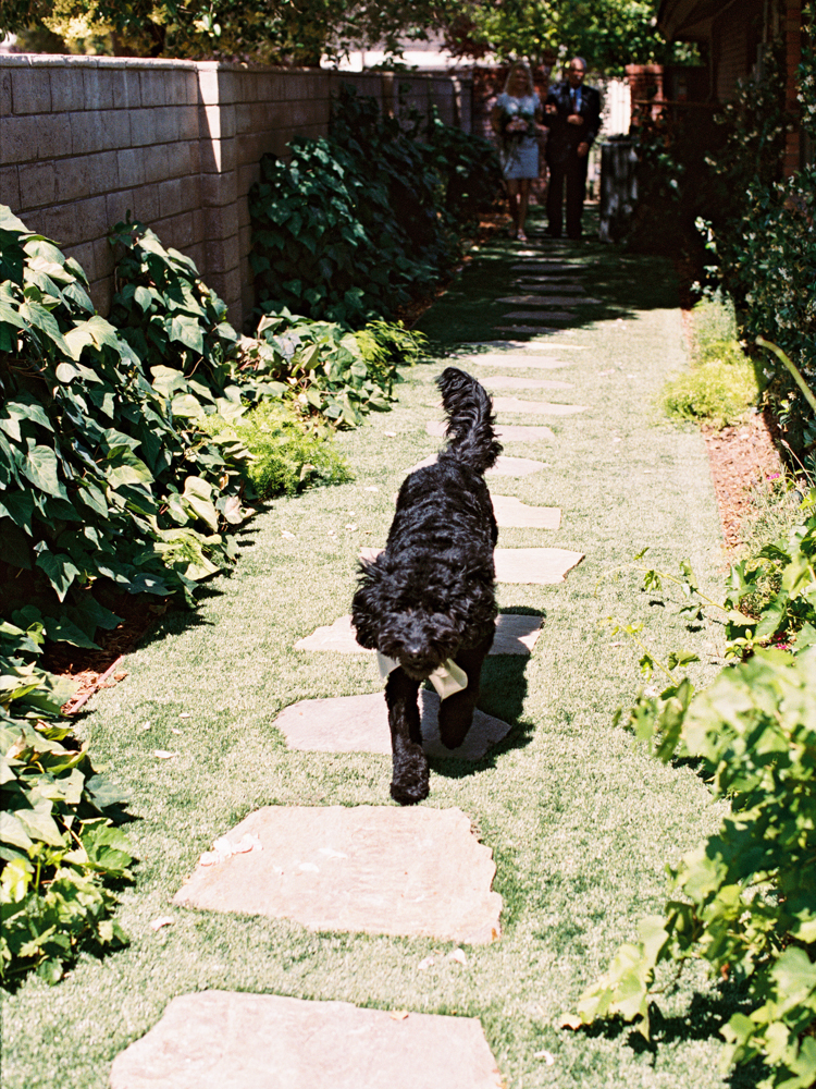 private las vegas estate wedding | backyard garden elopement in las vegas | gaby j photography | flora pop