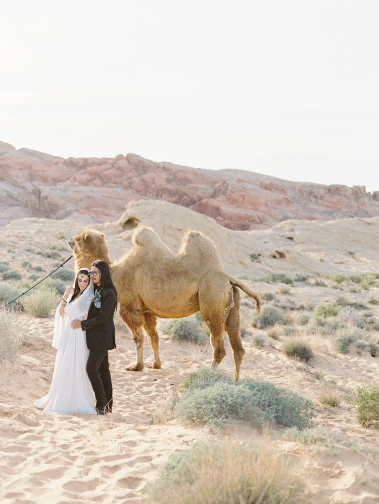 moroccan inspired desert wedding | gaby j photography | desert wedding inspiration with a camel