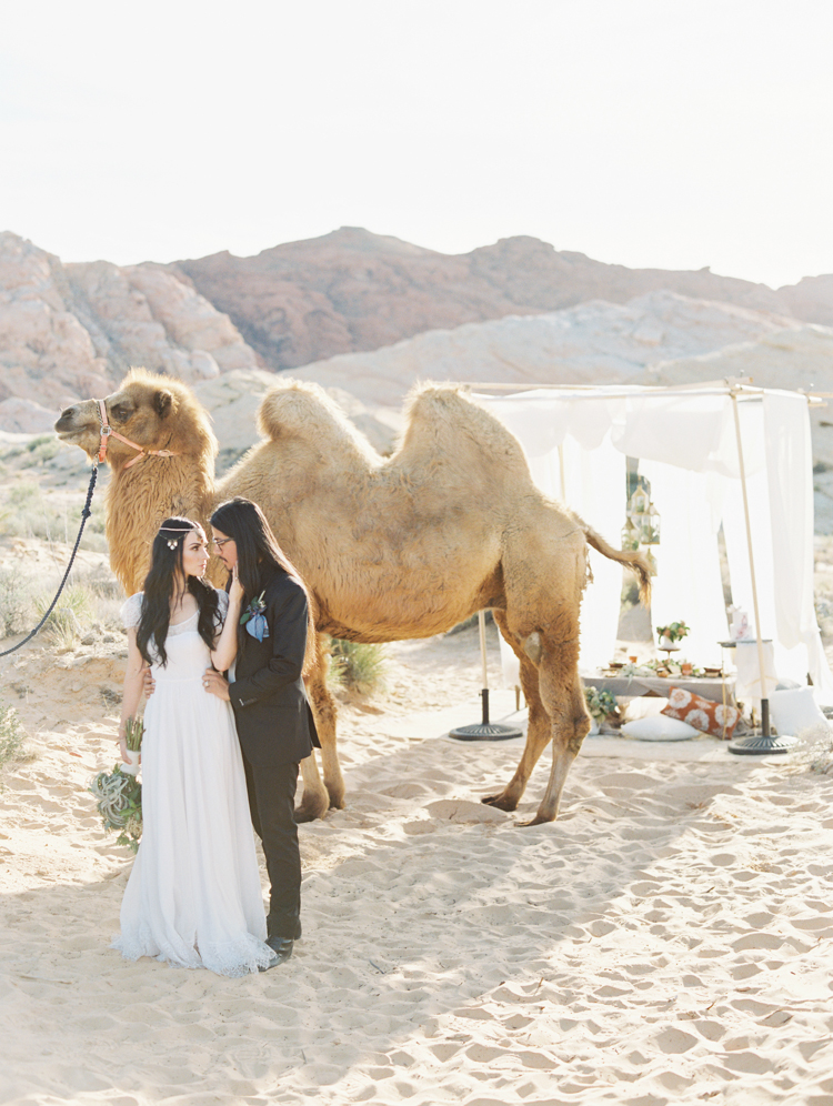 moroccan inspired desert wedding | gaby j photography | desert wedding inspiration with a camel