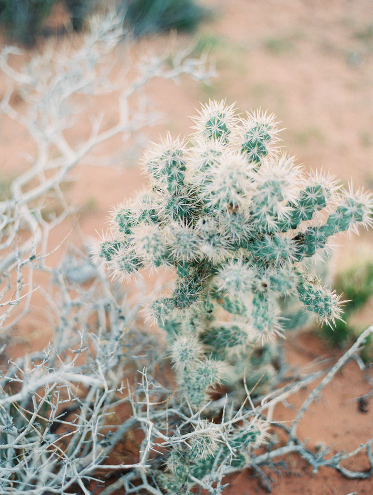 small wedding at red rock canyon national park | desert elopement | gaby j photography | las vegas elopement