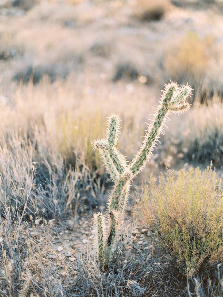 desert elopement in las vegas | vegas elopement photographer | gaby j photography | flora pop | ruby finch salon | how to elope in vegas