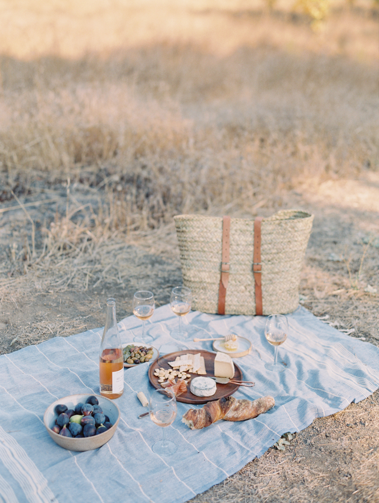 sonoma ca wine tasting picnic | picnic on a vineyard | gaby j photography | sonoma northern california wedding photographer